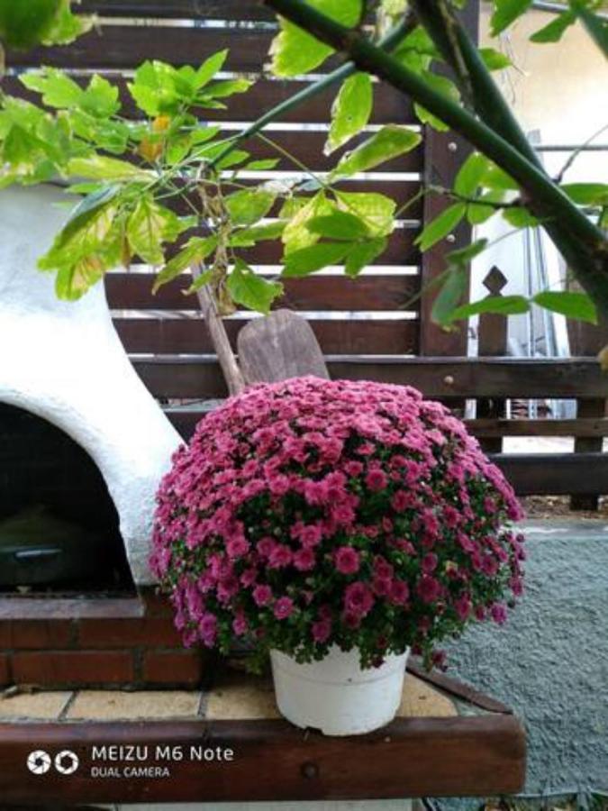 Cosy Vacation In Διαμέρισμα Περαία